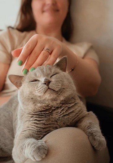 The Purrplexing Purr